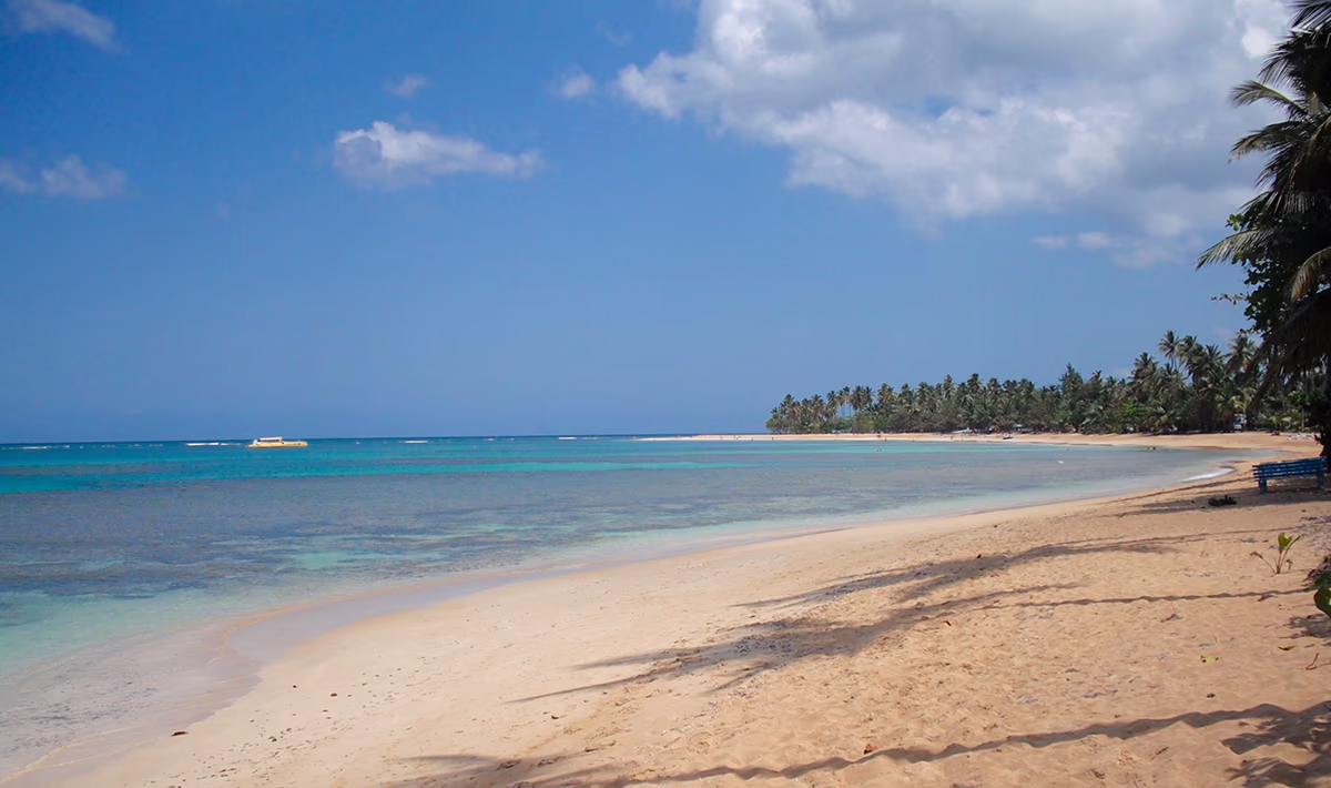 Leitfaden für Strandfront-Ferienwohnungen mit hoher Rendite in Playa Las Ballenas 2026