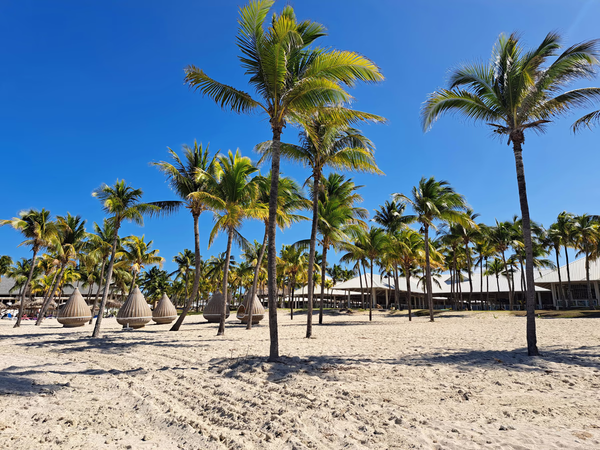 Bávaro Real Estate 2026: The Complete Guide to Selling, Renting, and Investing in Punta Cana's Hub