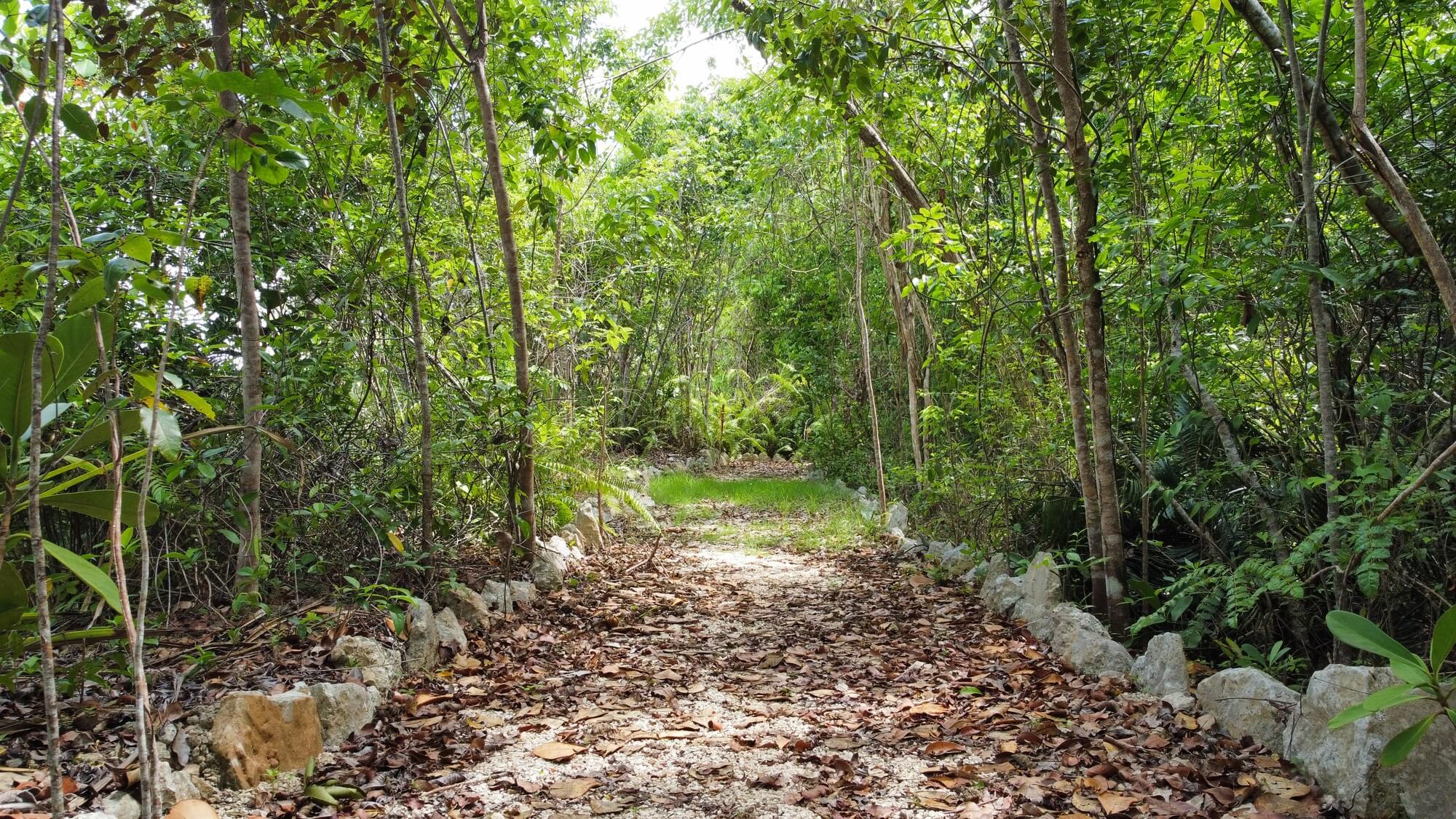 Terreno residenziale, Vista Cana, Punta Cana, Salvaleón de Higüey - foto 5