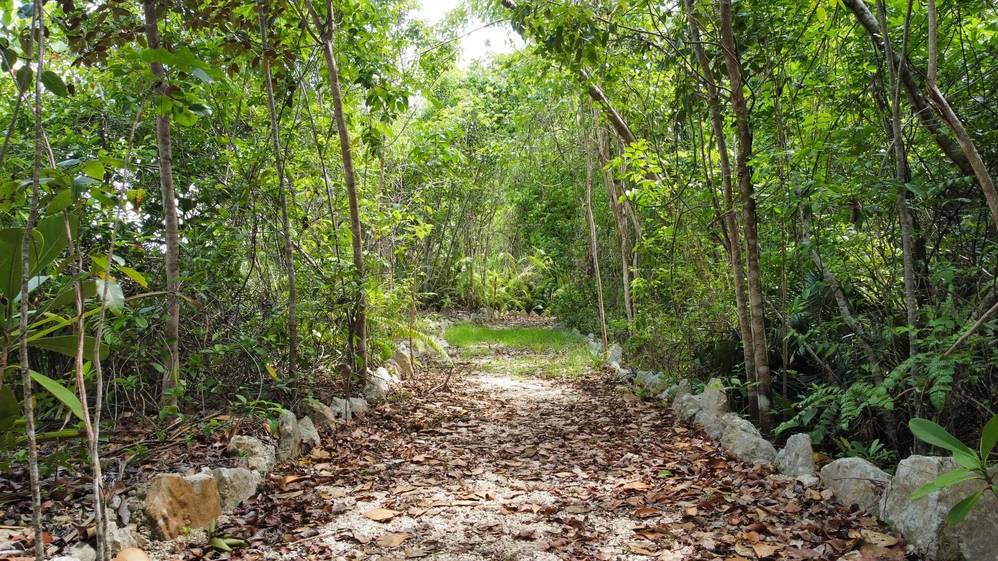 Terrains résidentiels, Vista Cana, Punta Cana, Salvaleón de Higüey - foto 5